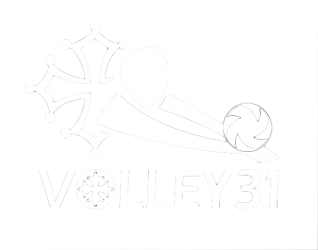 Volley 31